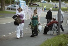 Butterflies by Stockingstone Road roundabout, Luton Carnival, 2006
