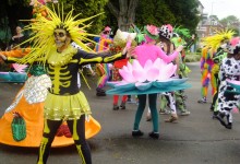 Mandinga Arts at Hitchin Carnival, 2012