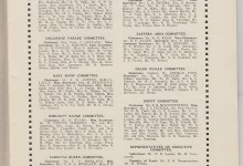 Southend Carnival Programme 1935, page 3